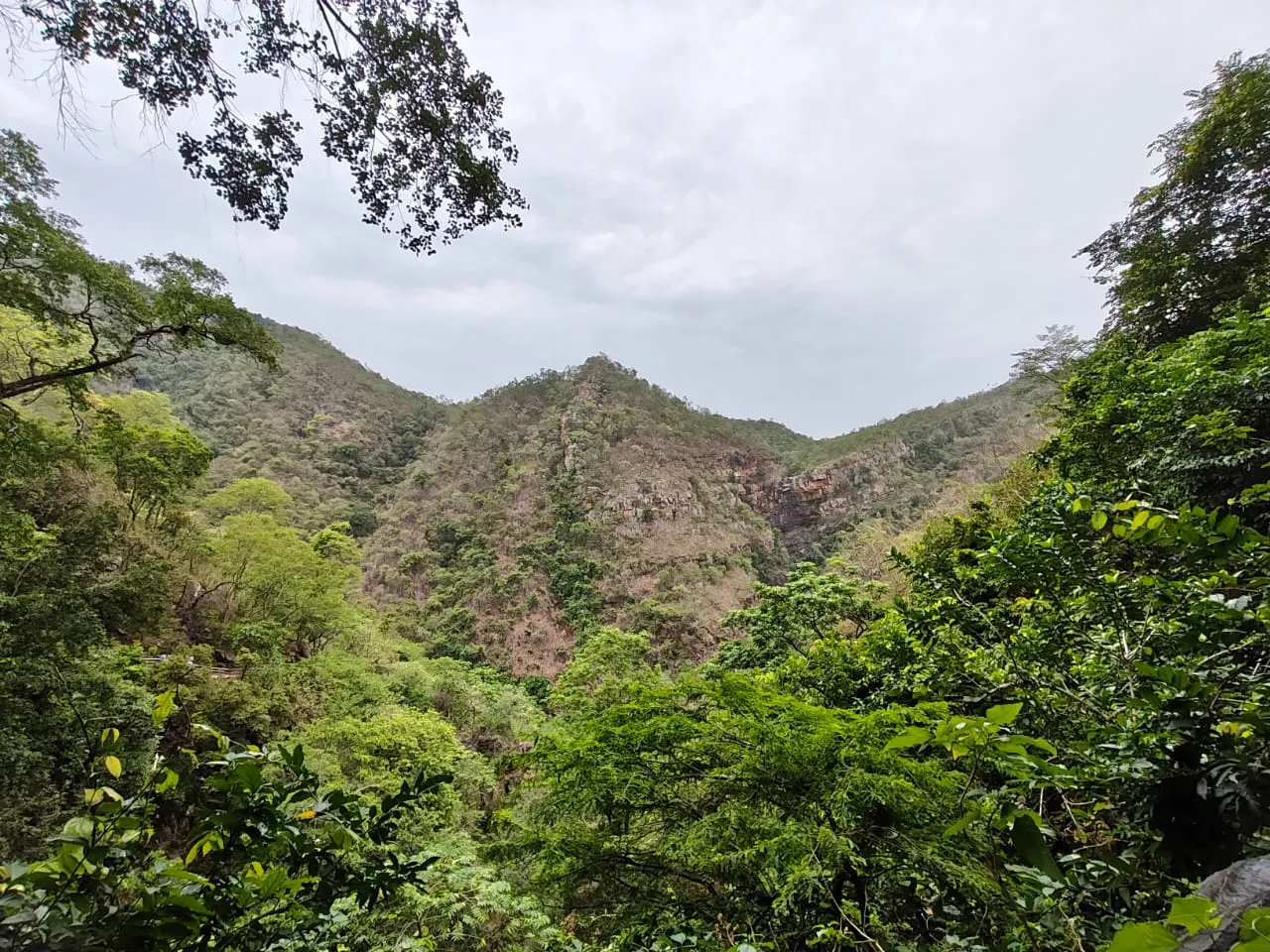 Forest around Ahobilam Temple, Comes under Nallamalla